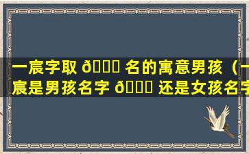 一宸字取 🐞 名的寓意男孩（一宸是男孩名字 🐟 还是女孩名字）